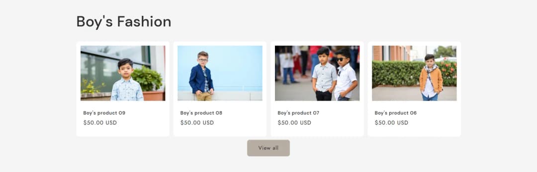Shopify Ecommerce Website